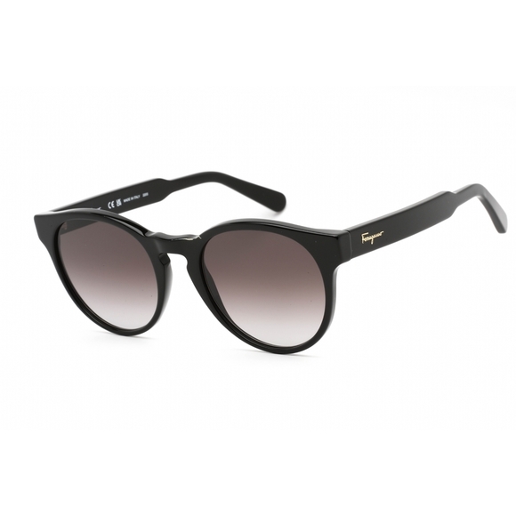 NWT Salvatore Ferragamo SF1068S-001 Sunglasses - Picture 1 of 2